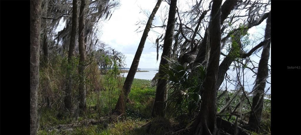 На продажу: $599,995 (12.32 acres)