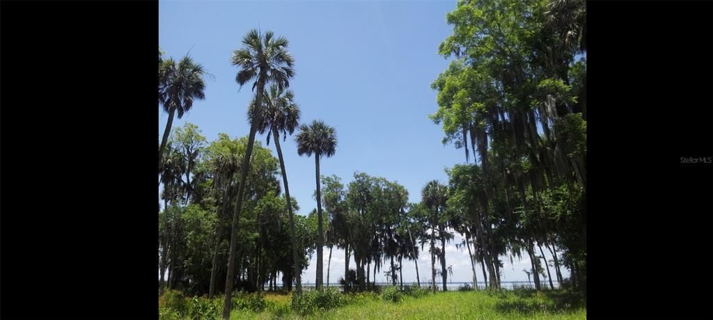 На продажу: $599,995 (12.32 acres)