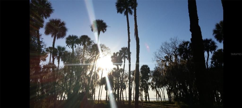 На продажу: $599,995 (12.32 acres)