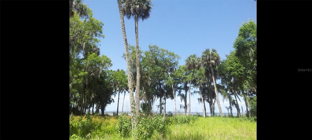 На продажу: $599,995 (12.32 acres)