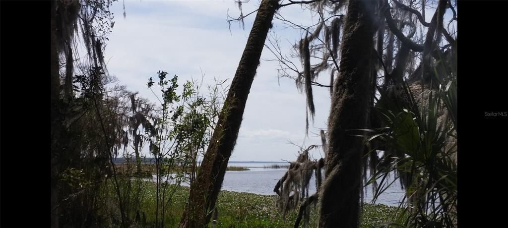 На продажу: $599,995 (12.32 acres)