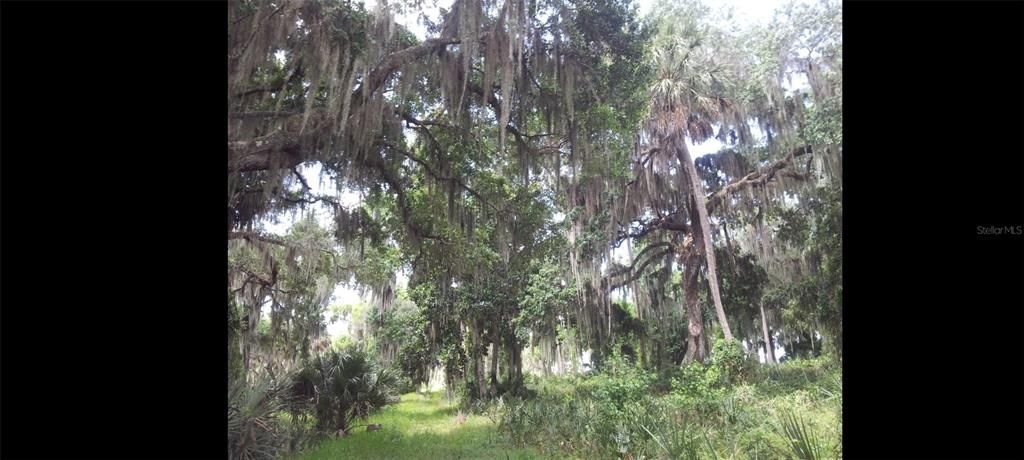 На продажу: $599,995 (12.32 acres)