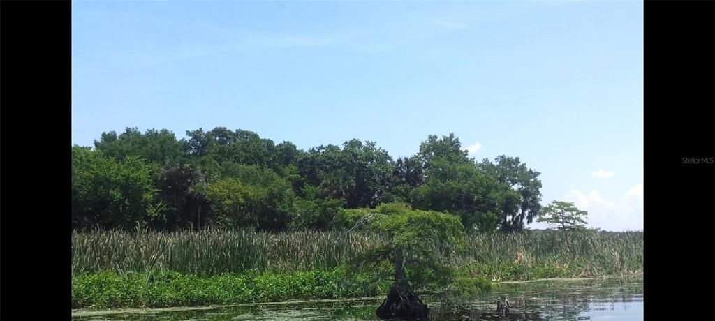 На продажу: $599,995 (12.32 acres)