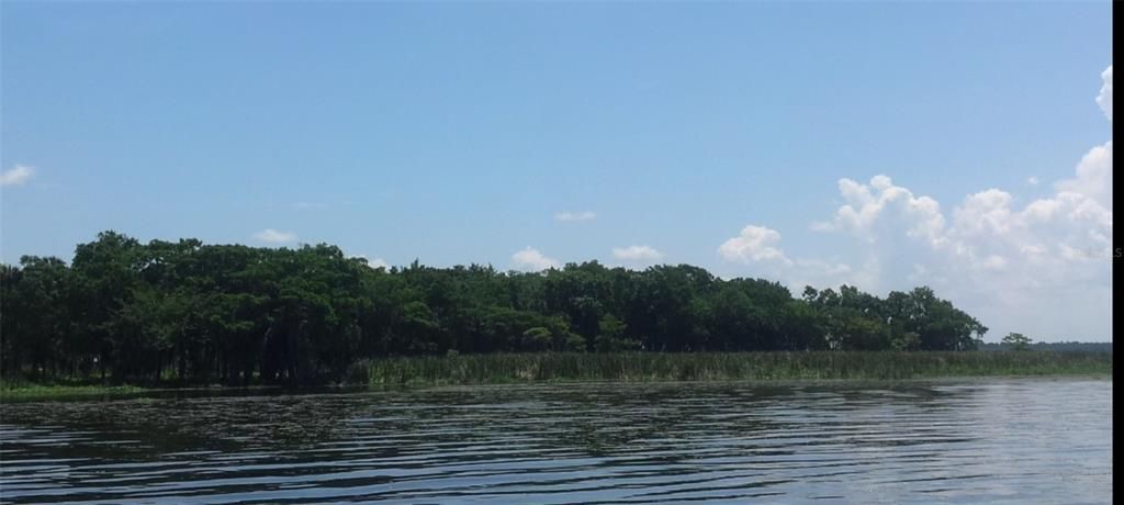 На продажу: $599,995 (12.32 acres)