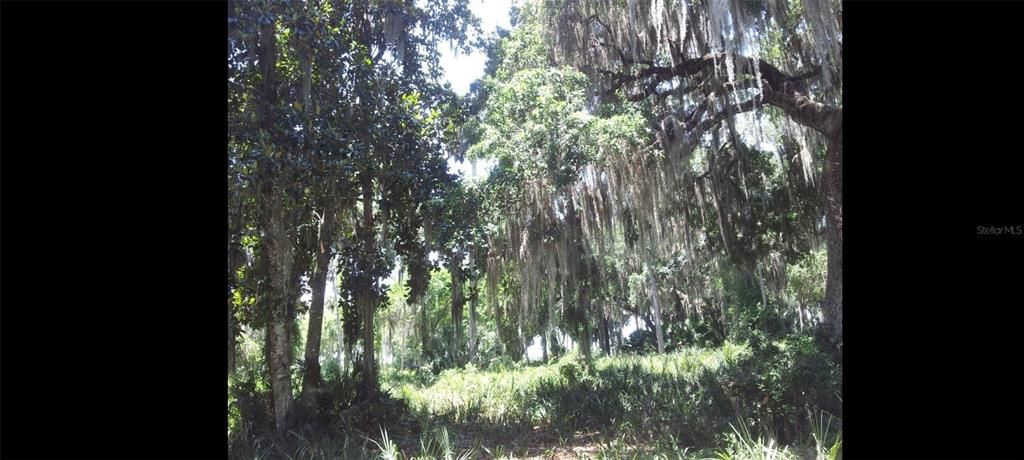 На продажу: $599,995 (12.32 acres)