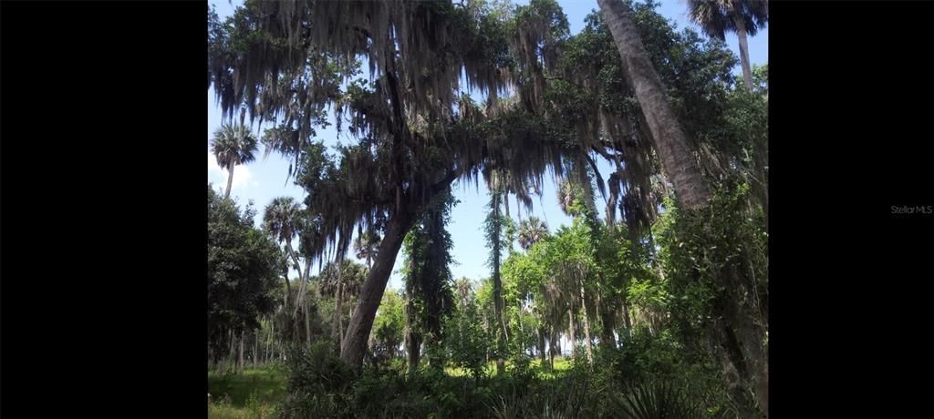 На продажу: $599,995 (12.32 acres)