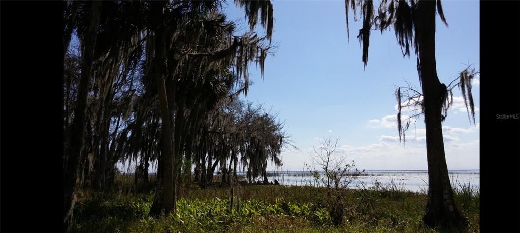 На продажу: $599,995 (12.32 acres)