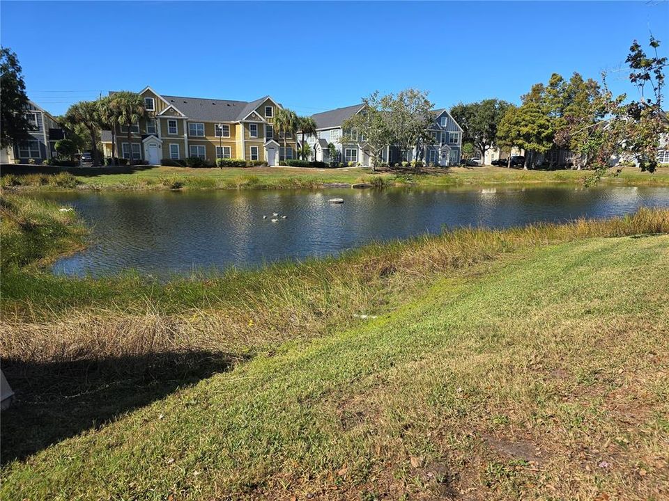 Под контрактом: $219,900 (2 спален, 2 ванн, 1112 Квадратных фут)