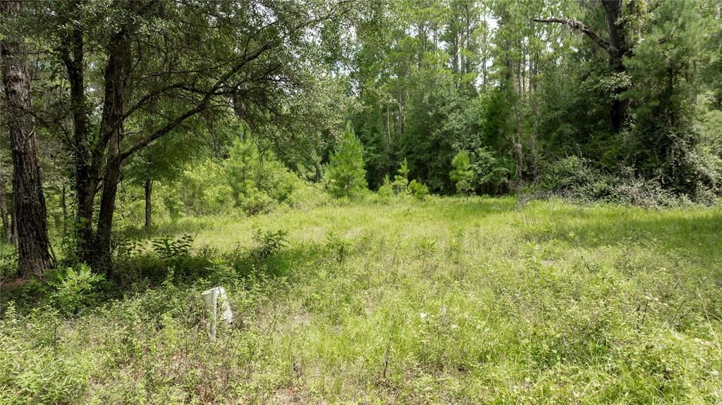 For Sale: $585,000 (25.23 acres)