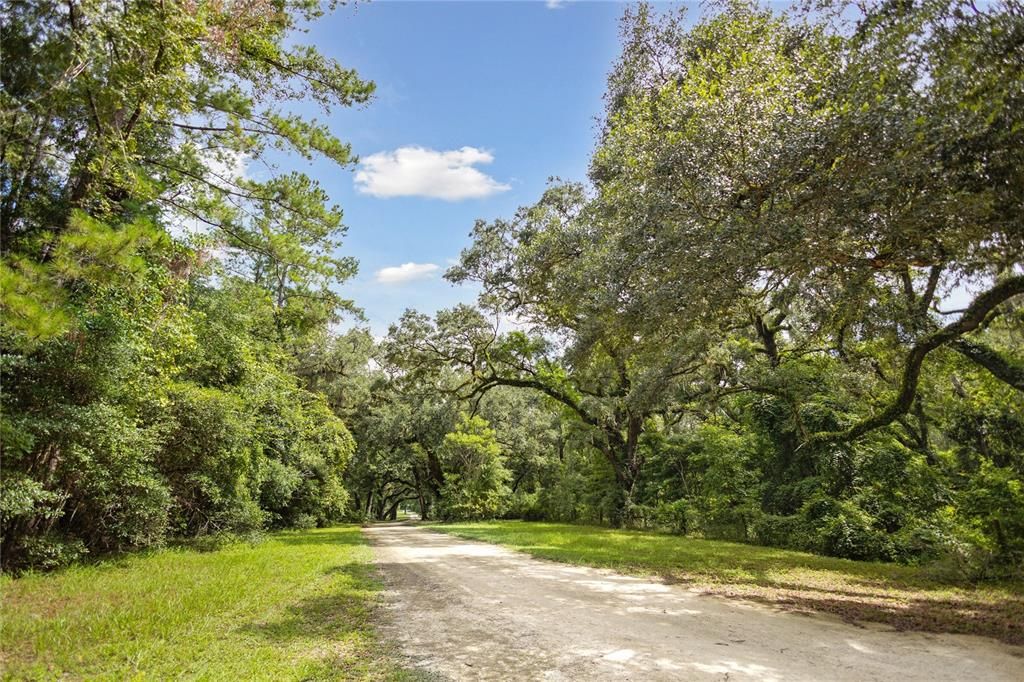 For Sale: $585,000 (25.23 acres)