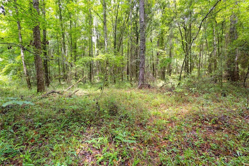 For Sale: $585,000 (25.23 acres)