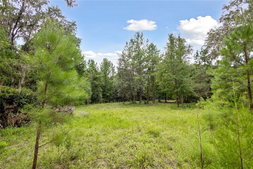 For Sale: $585,000 (25.23 acres)