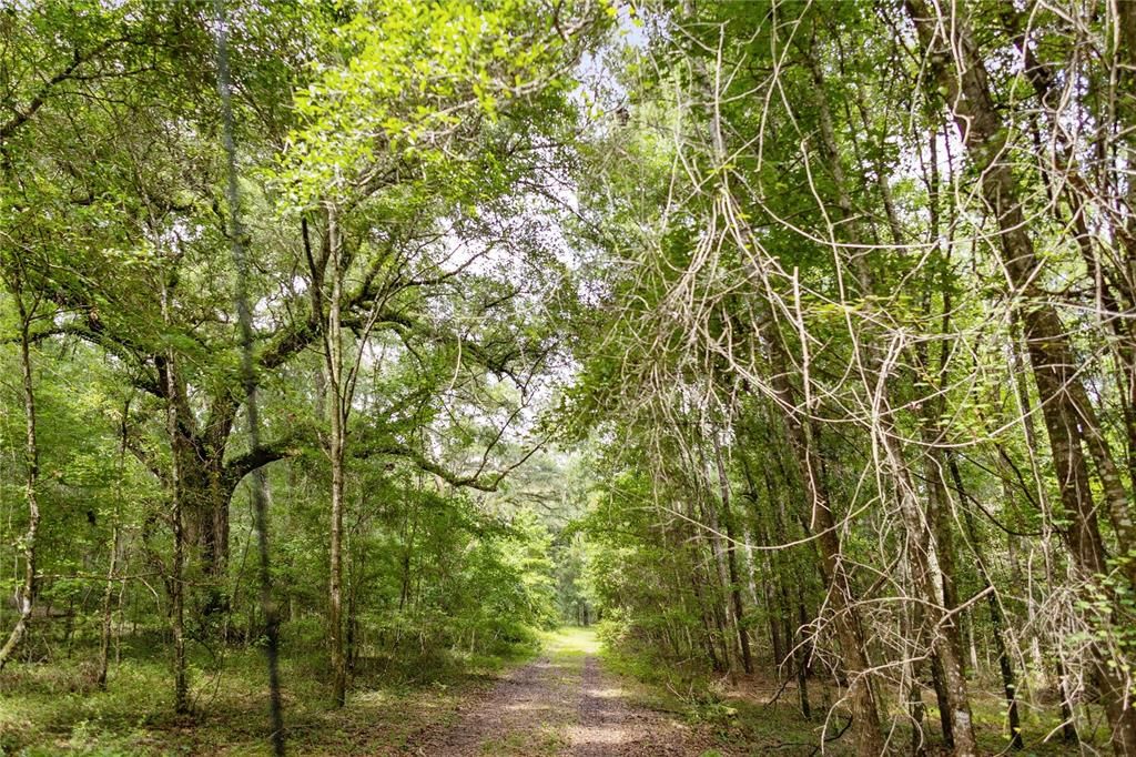 For Sale: $585,000 (25.23 acres)