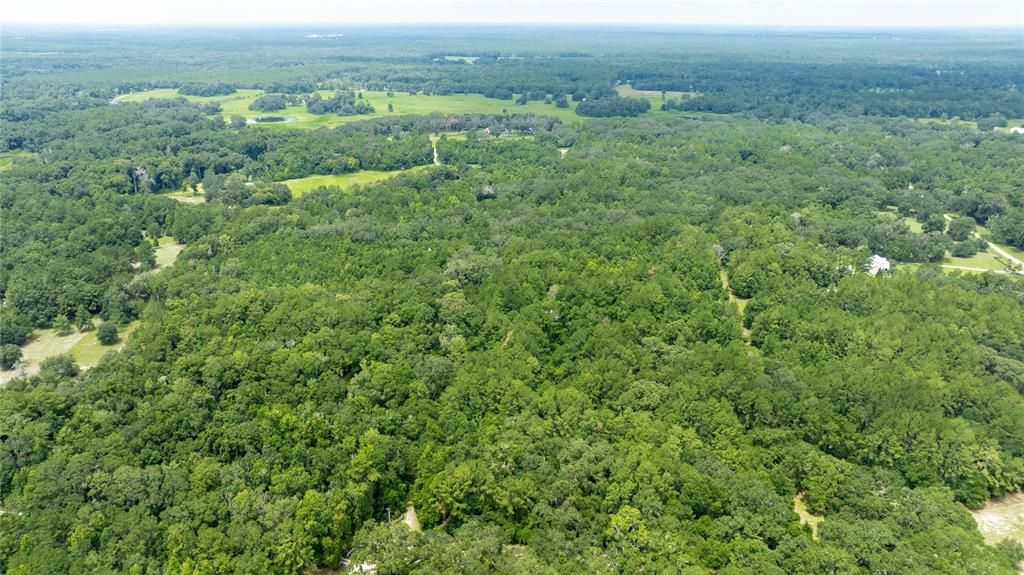 For Sale: $585,000 (25.23 acres)