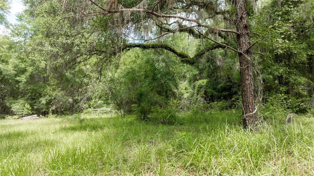 For Sale: $585,000 (25.23 acres)