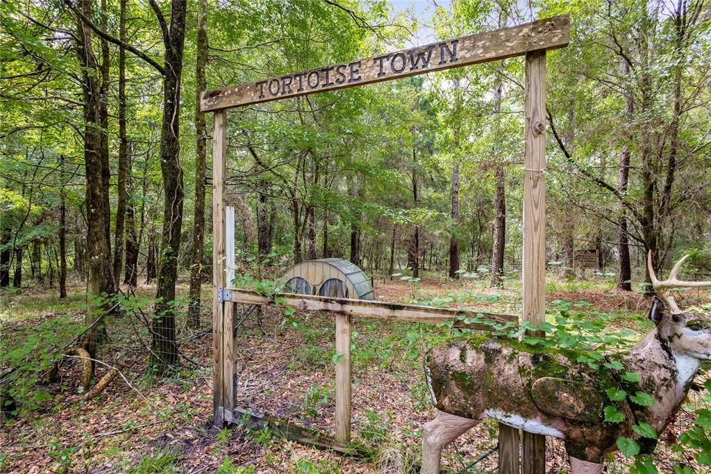 For Sale: $585,000 (25.23 acres)