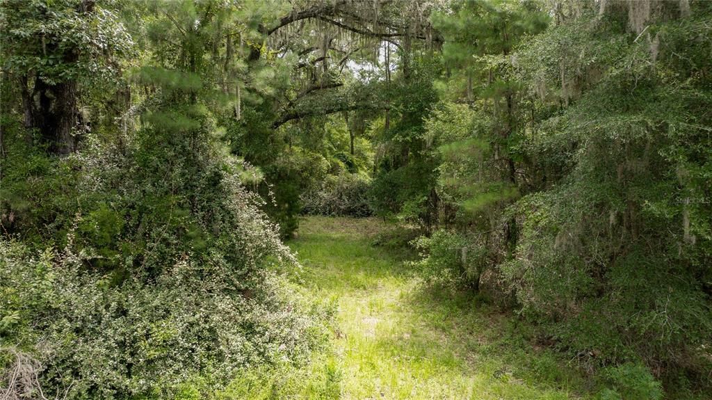 For Sale: $585,000 (25.23 acres)