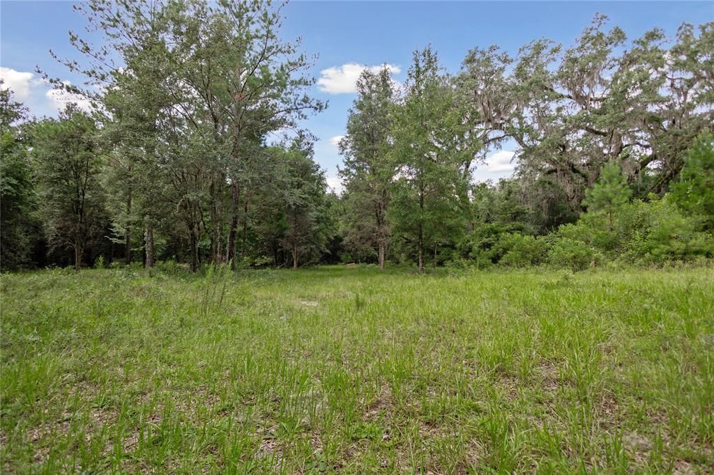 For Sale: $585,000 (25.23 acres)