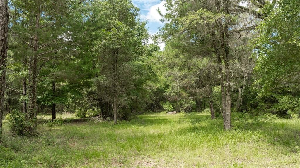 For Sale: $585,000 (25.23 acres)