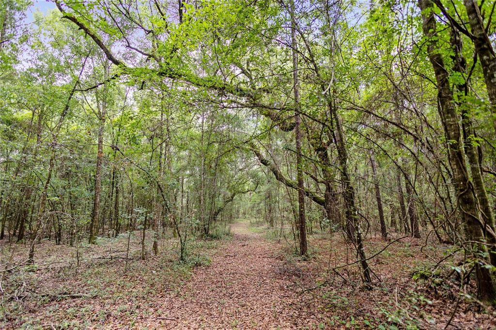 For Sale: $585,000 (25.23 acres)