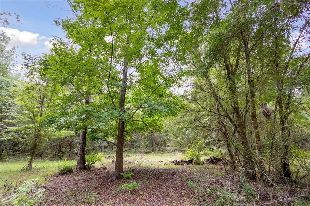 For Sale: $585,000 (25.23 acres)