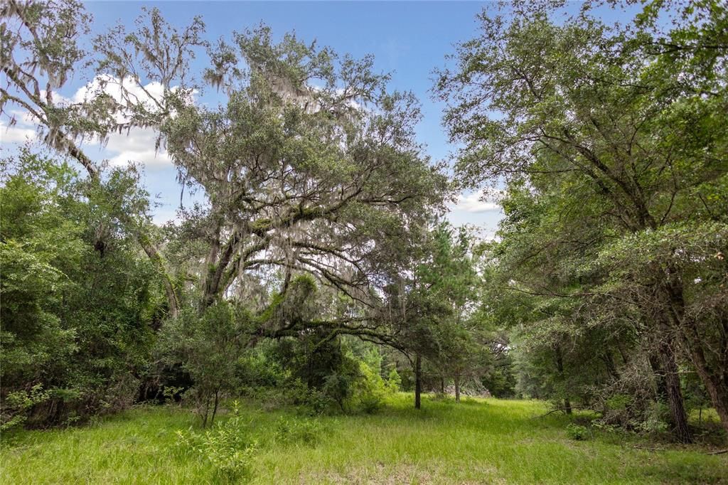 For Sale: $585,000 (25.23 acres)