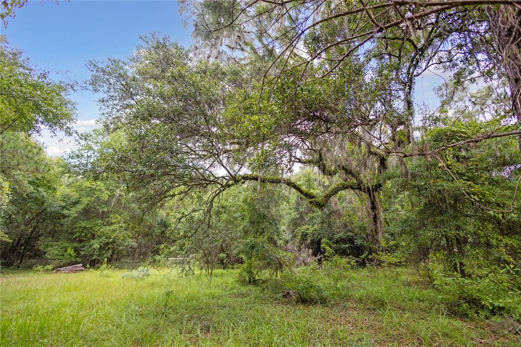 For Sale: $585,000 (25.23 acres)