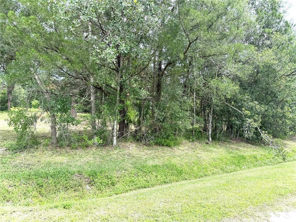 待售: $249,900 (3.05 acres)