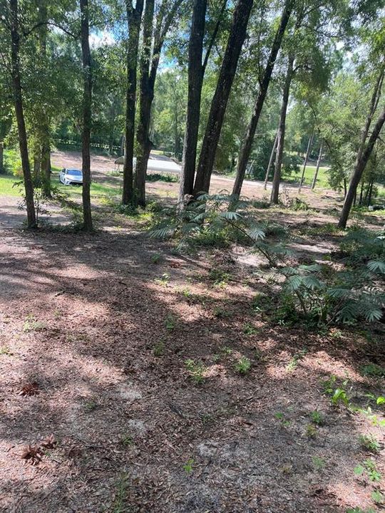 For Sale: $87,000 (1.14 acres)