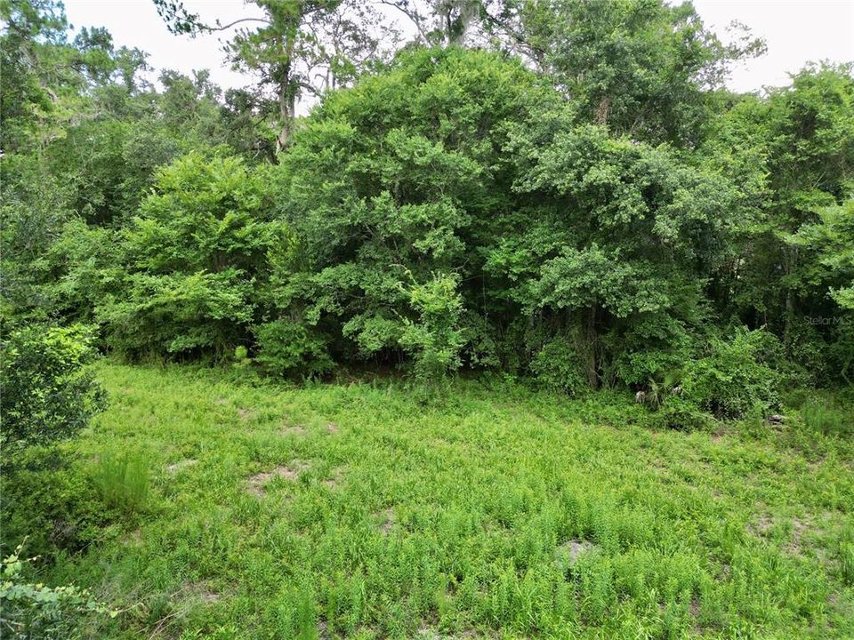 На продажу: $495,000 (20.00 acres)