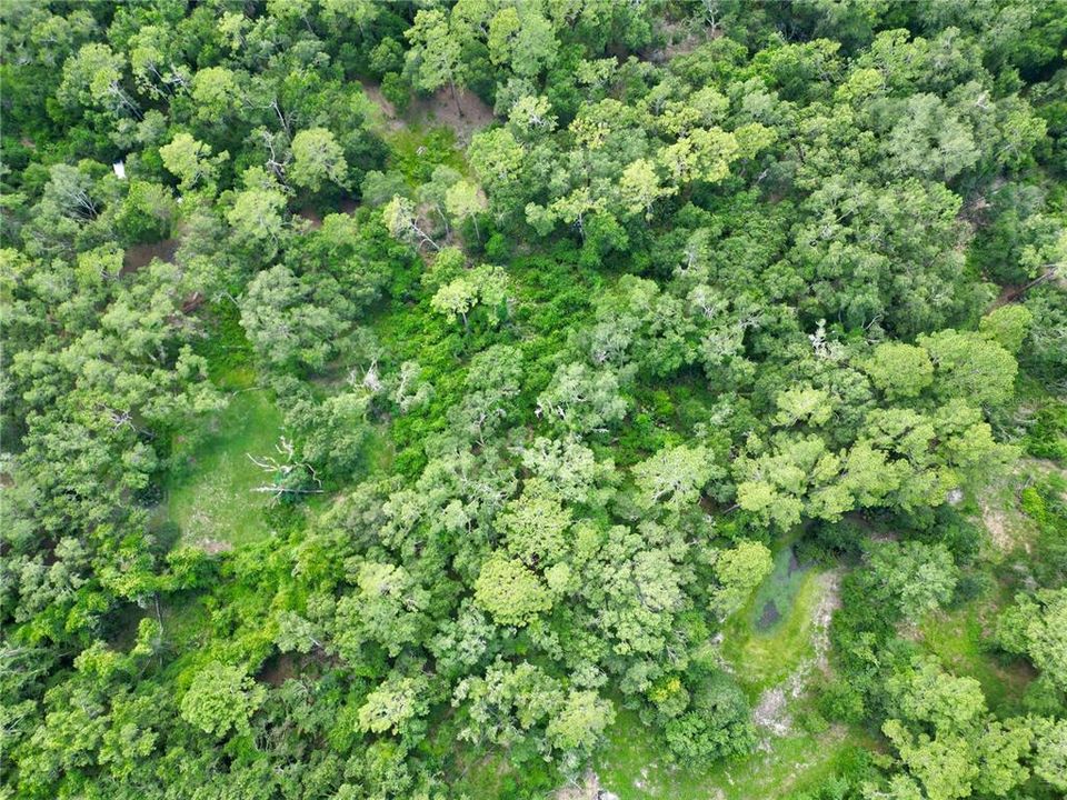 На продажу: $495,000 (20.00 acres)