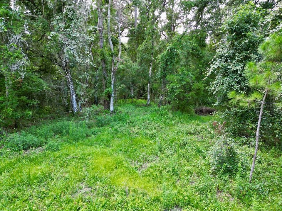 На продажу: $495,000 (20.00 acres)