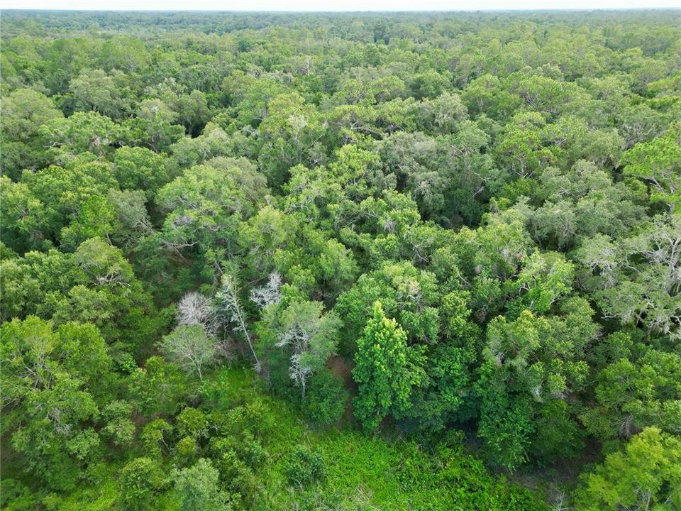 На продажу: $495,000 (20.00 acres)