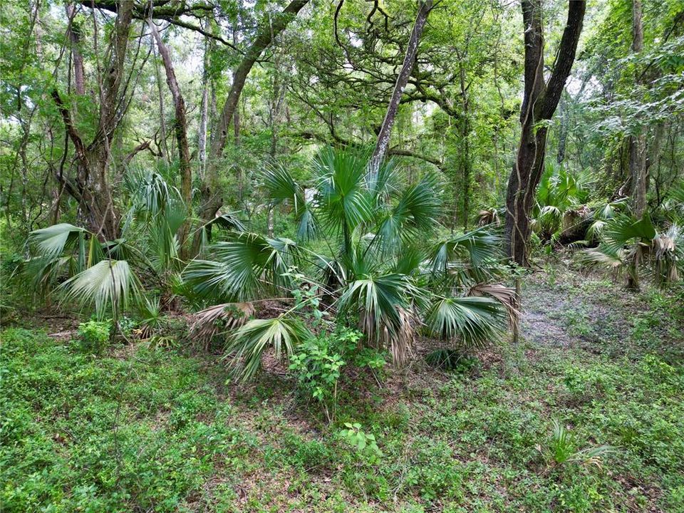 На продажу: $495,000 (20.00 acres)