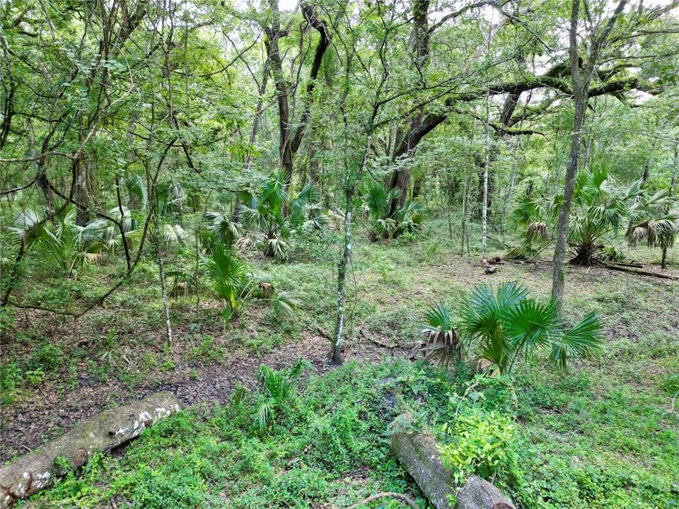 На продажу: $495,000 (20.00 acres)