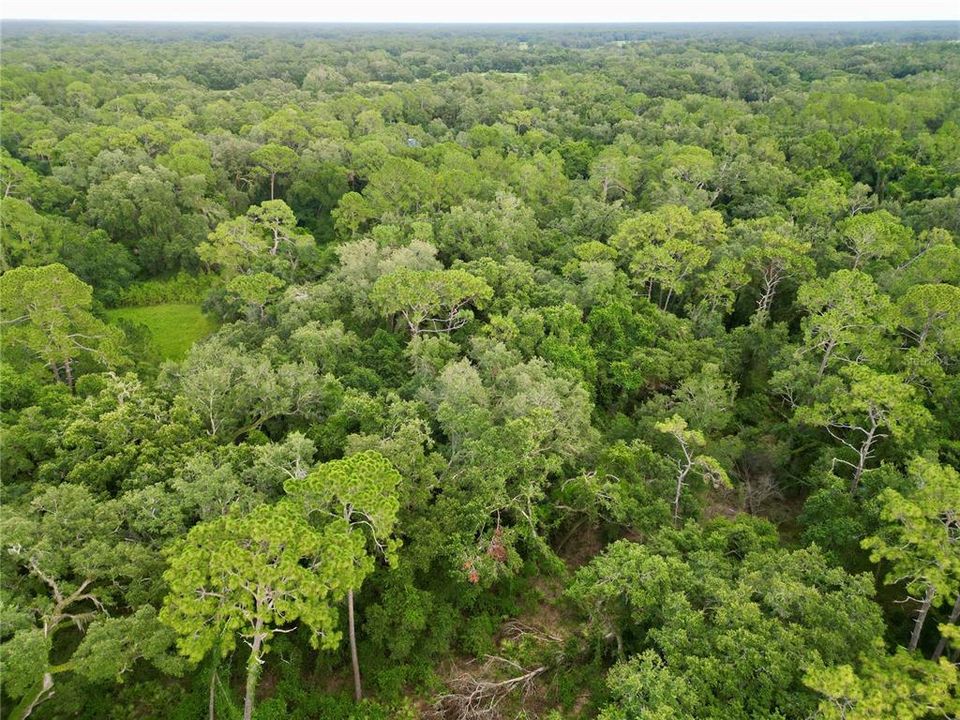 На продажу: $495,000 (20.00 acres)