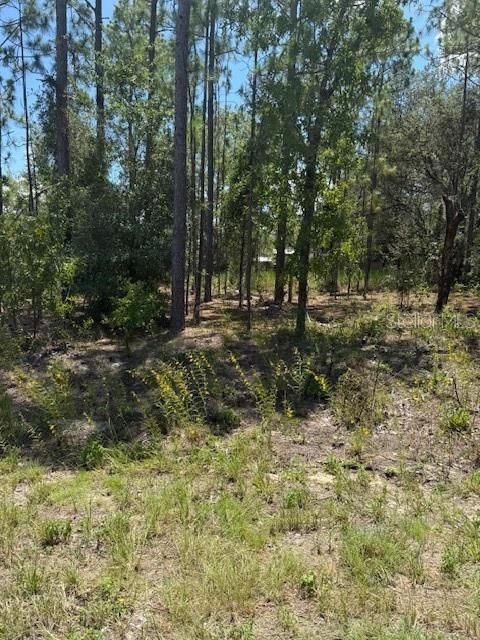 Vendido Recientemente: $28,900 (0.23 acres)