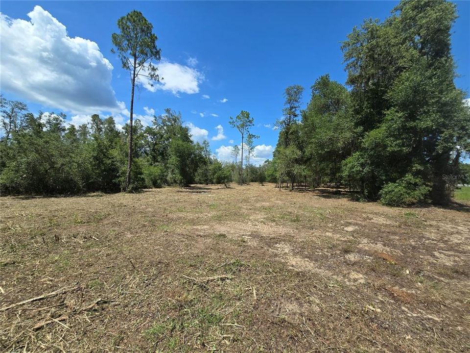 For Sale: $499,000 (29.52 acres)