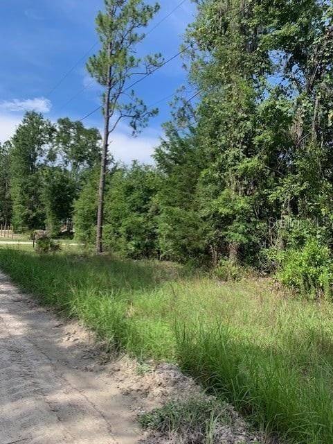Recently Sold: $22,900 (1.27 acres)
