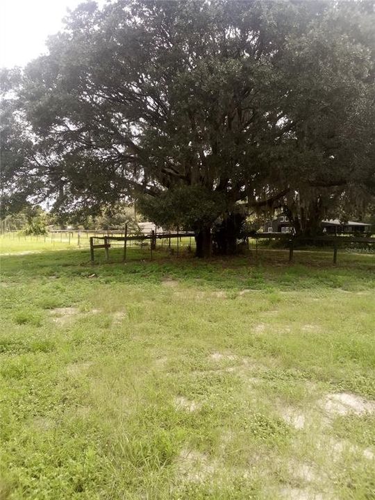 For Sale: $150,000 (2 beds, 2 baths, 720 Square Feet)