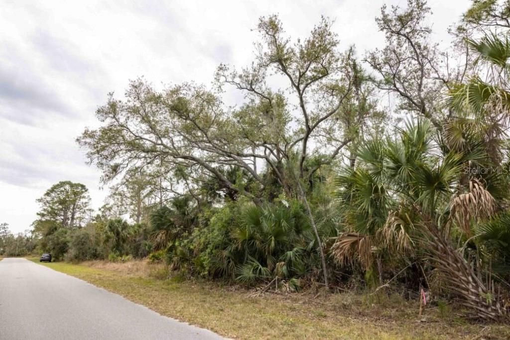 待售: $19,499 (0.23 acres)