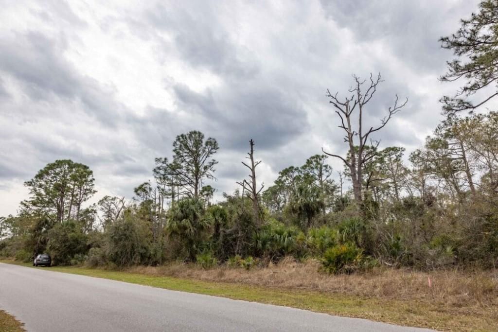 待售: $19,499 (0.23 acres)