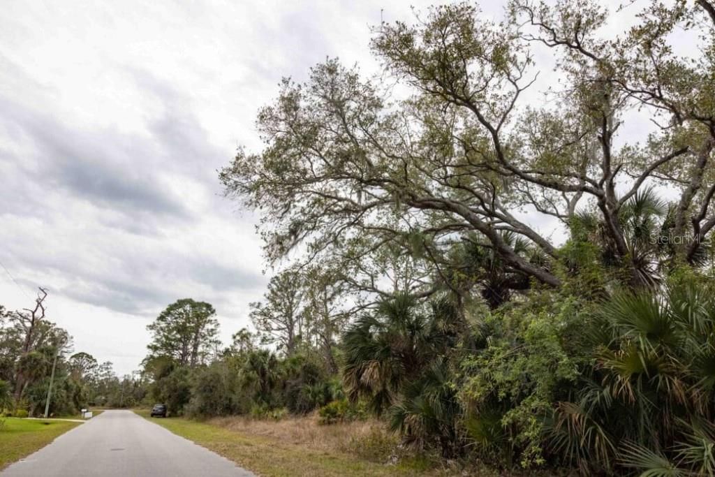 待售: $19,499 (0.23 acres)