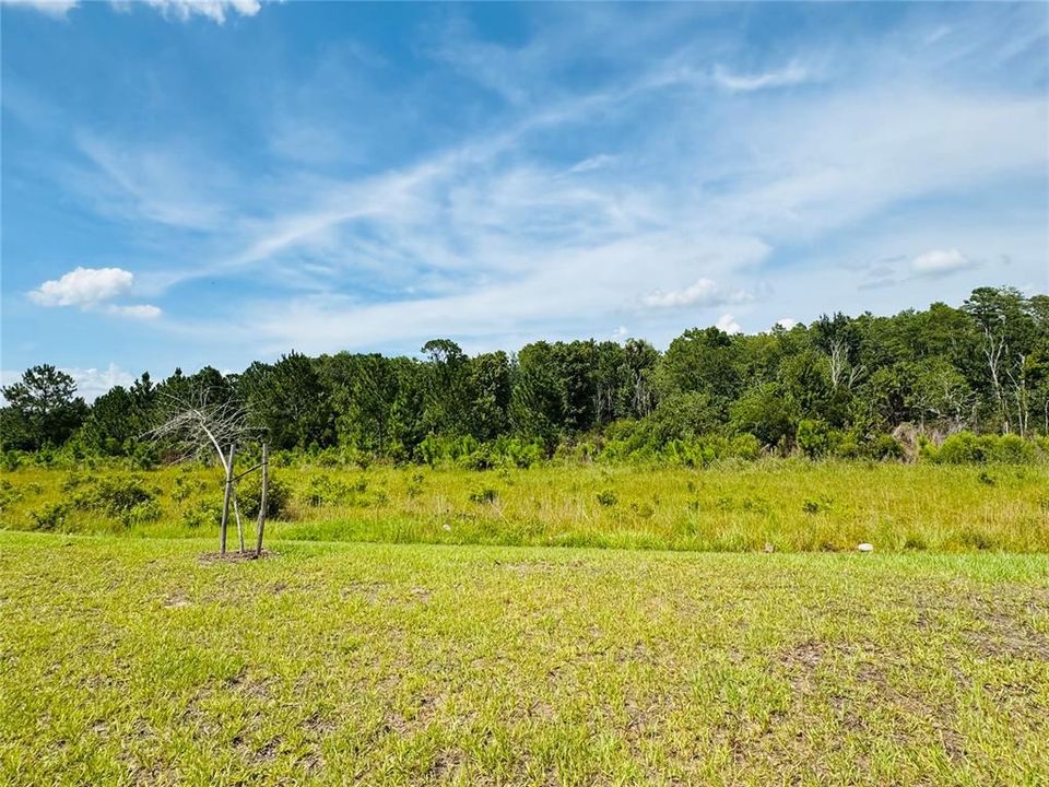 Active With Contract: $407,900 (3 beds, 2 baths, 1780 Square Feet)