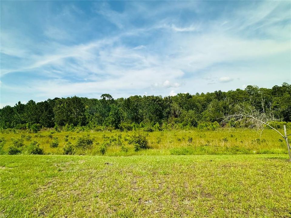 Active With Contract: $407,900 (3 beds, 2 baths, 1780 Square Feet)