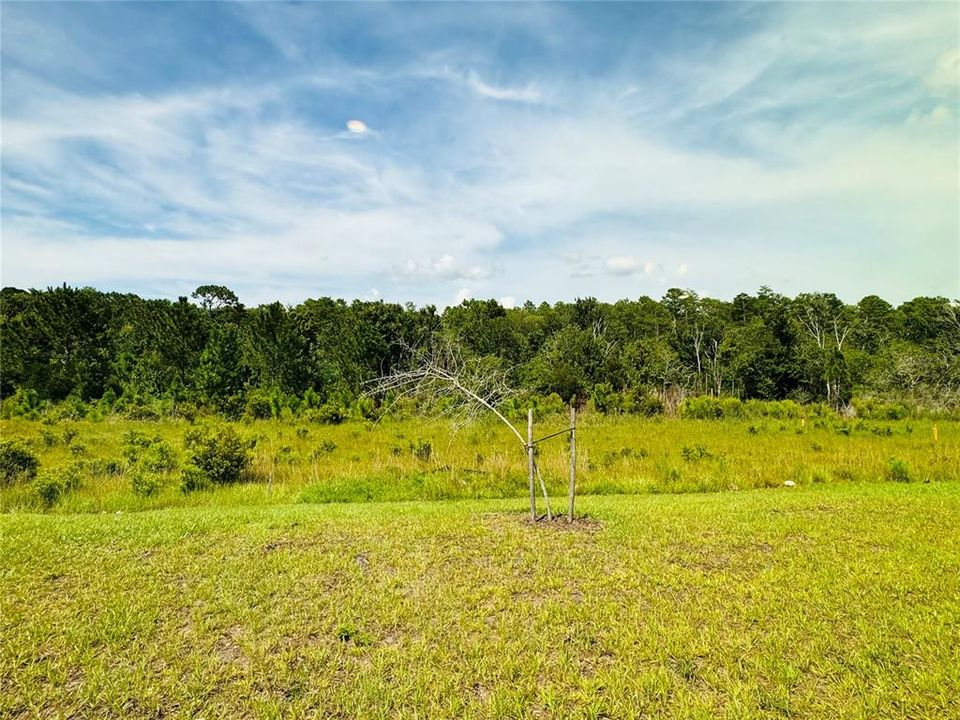 Active With Contract: $407,900 (3 beds, 2 baths, 1780 Square Feet)