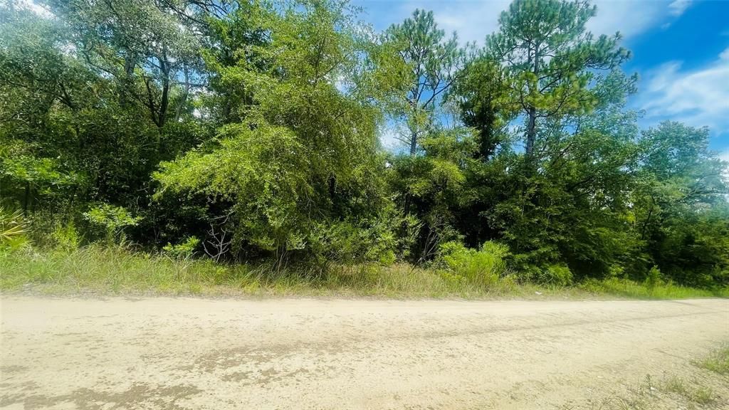 For Sale: $33,750 (1.25 acres)