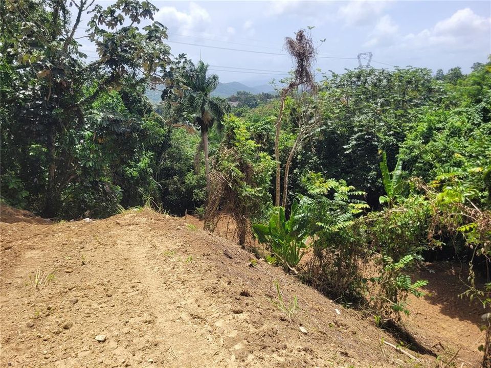 For Sale: $350,000 (5 beds, 3 baths, 2565 Square Feet)