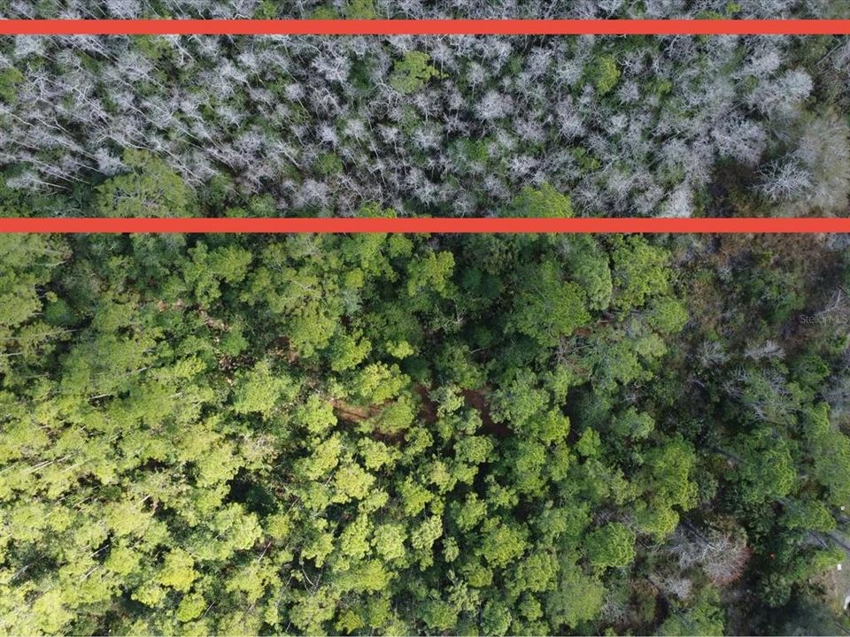 合同活跃: $205,000 (2.42 acres)