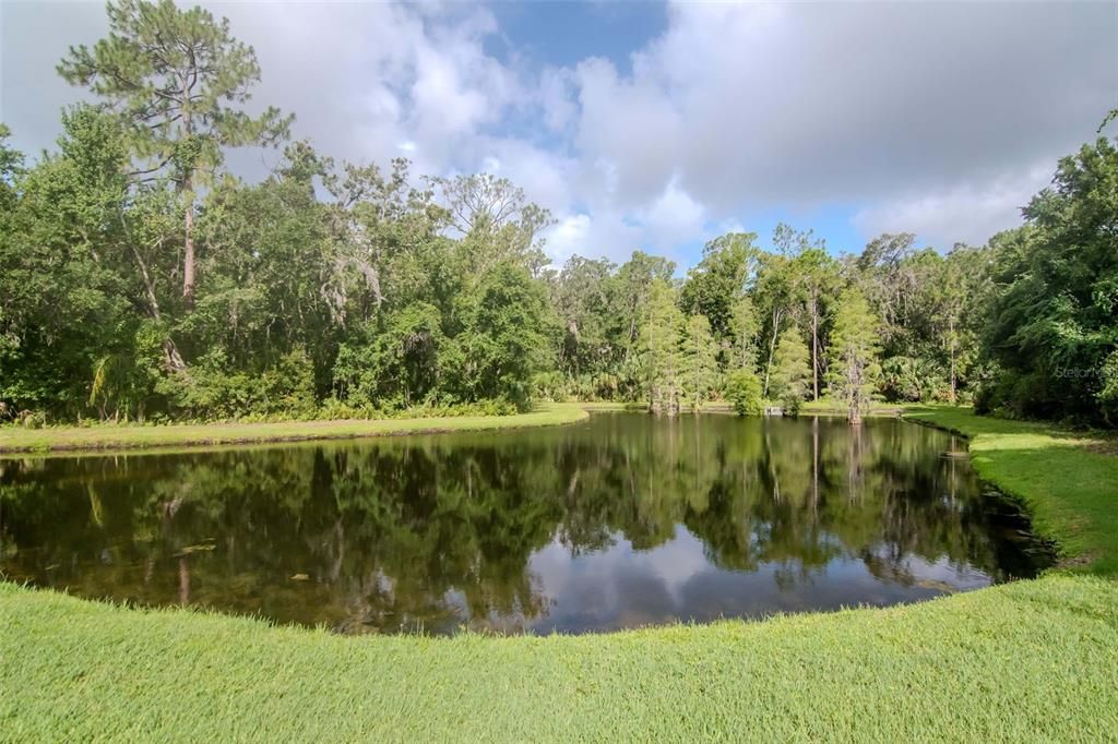 Под контрактом: $999,990 (5 спален, 5 ванн, 3720 Квадратных фут)